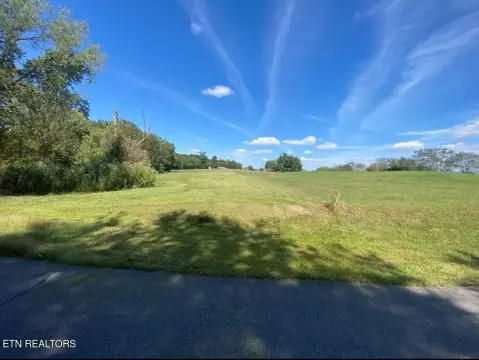 Baneberry Land Near Douglas Lake