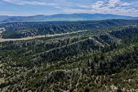 Hunting Land with Homesites