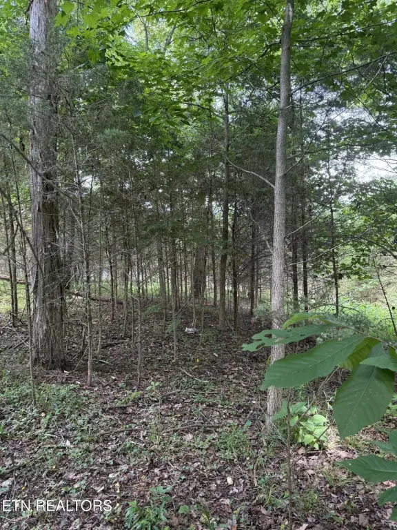 Picture 16