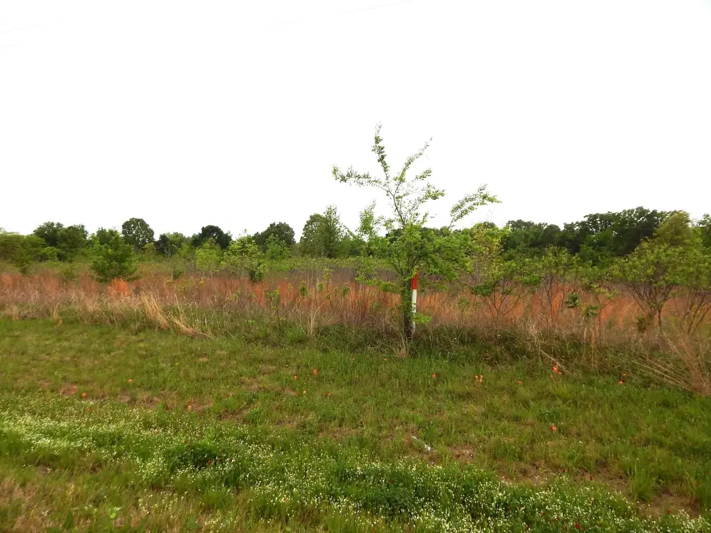 Picture 8