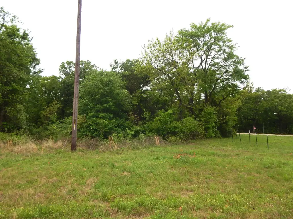Picture 5