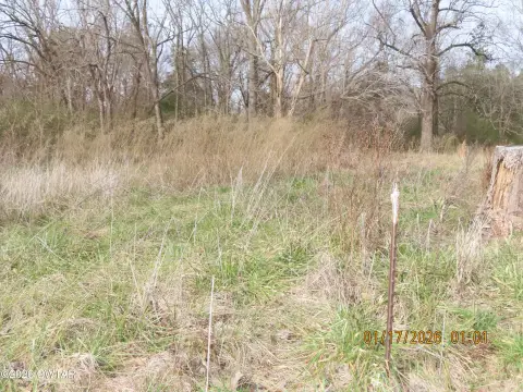 Residential Land in Saulsbury, TN