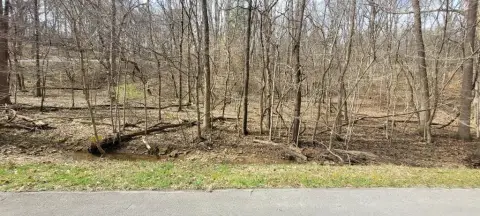 Residential Lot Near Lake