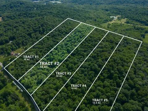 Wooded Hunting and Homesite Land