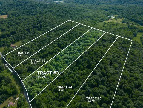 Wooded Hunting and Homesite Land