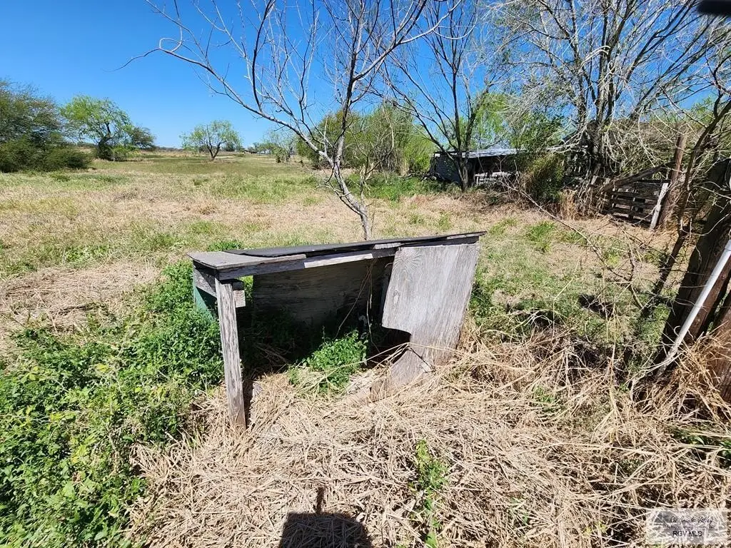 Picture 18