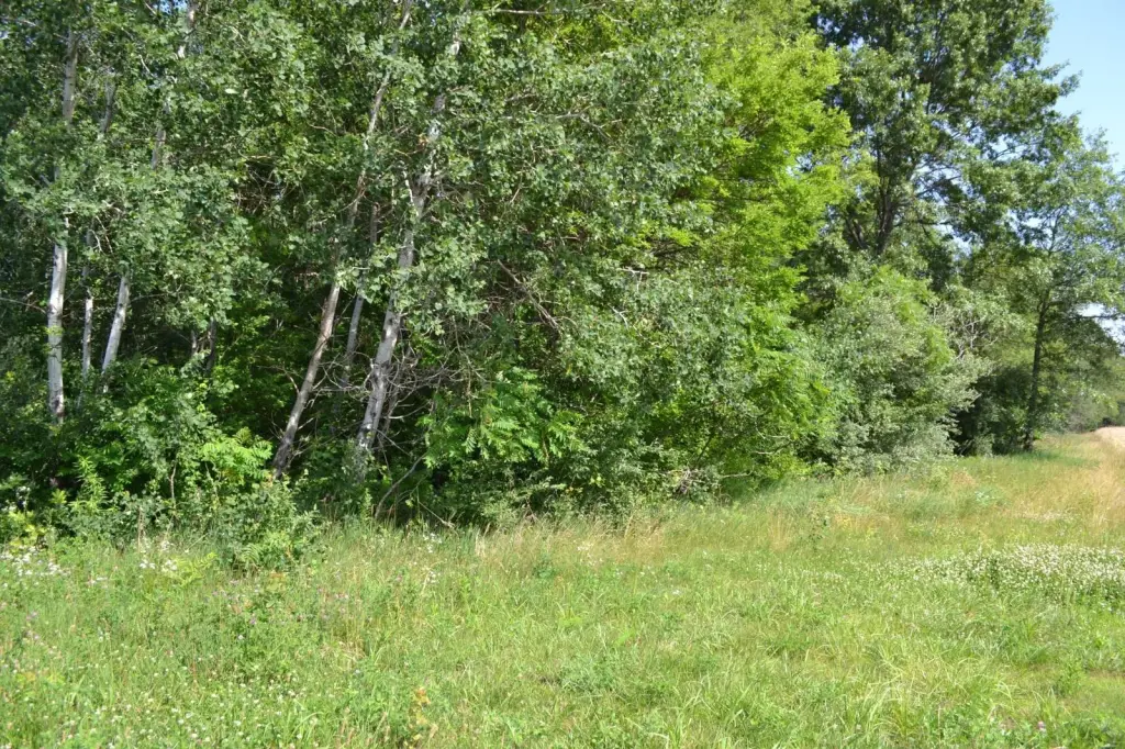 Picture 23