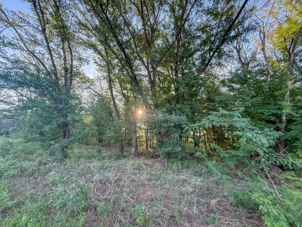 Picture 29