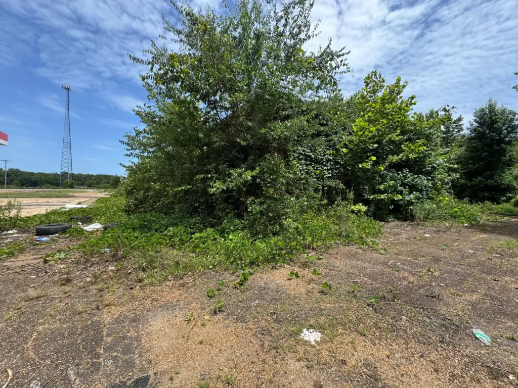 Picture 14