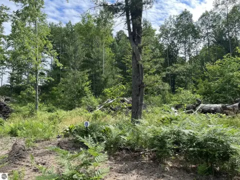 Wooded Parcel Near Traverse City