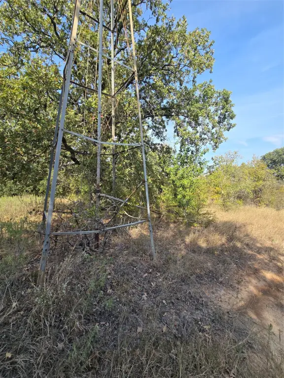 Picture 36