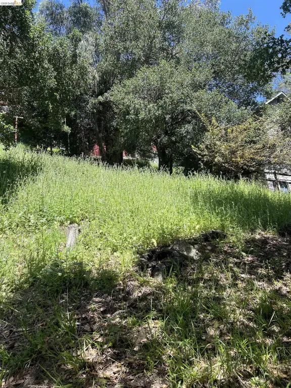 Picture 2