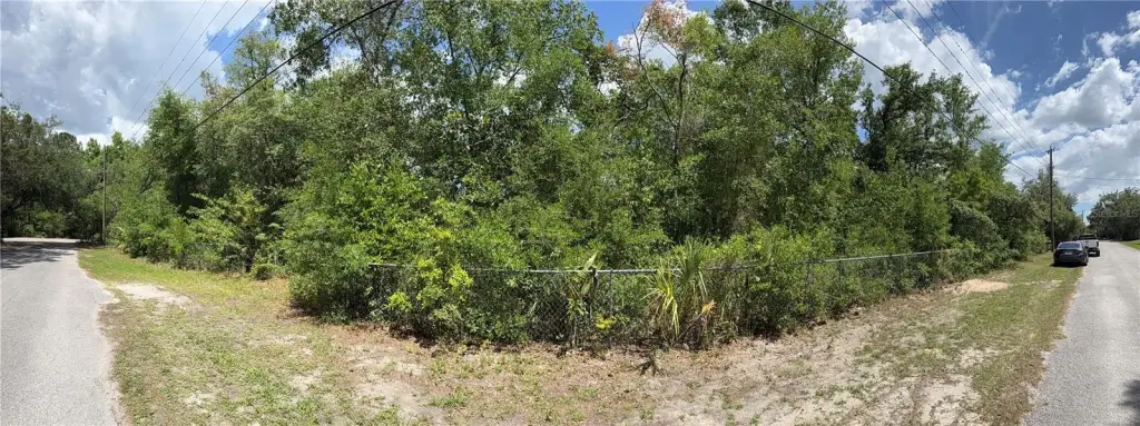 Picture 6