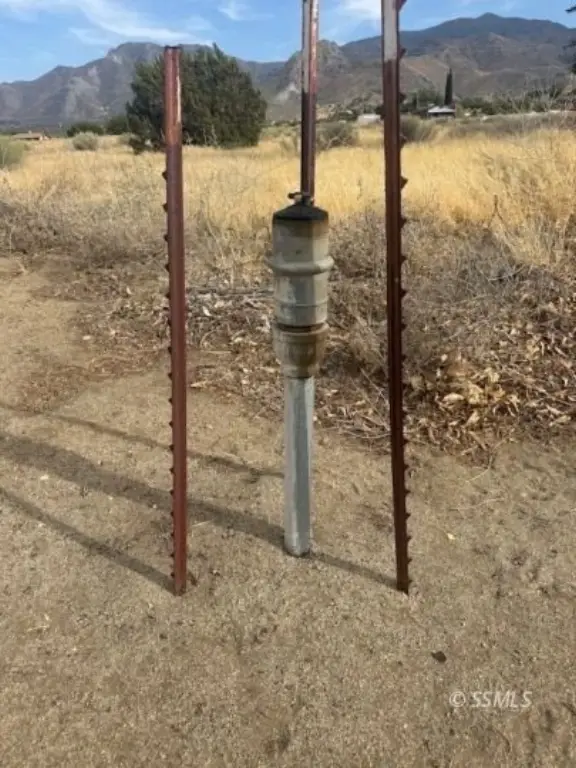 Picture 16