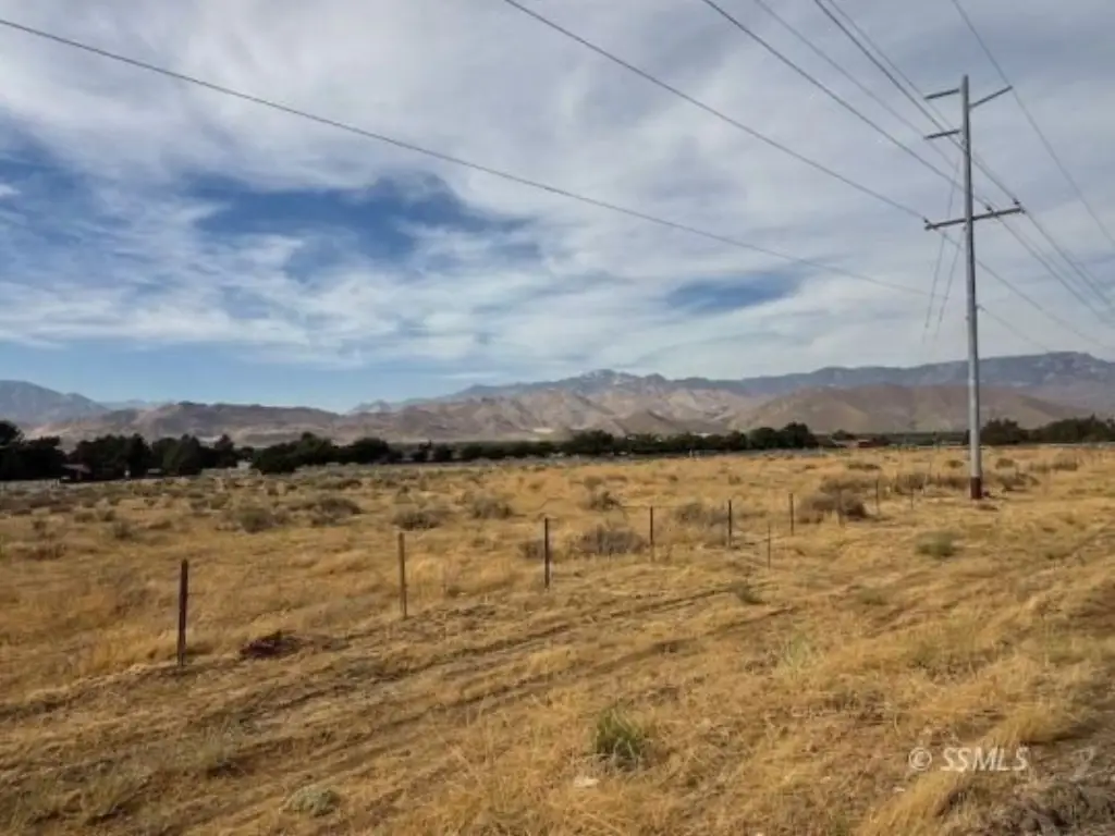 Picture 24