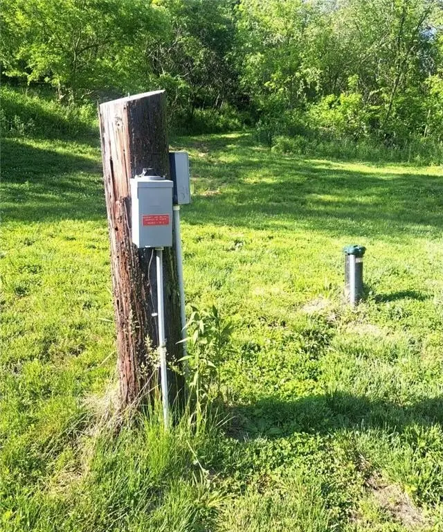 Picture 10