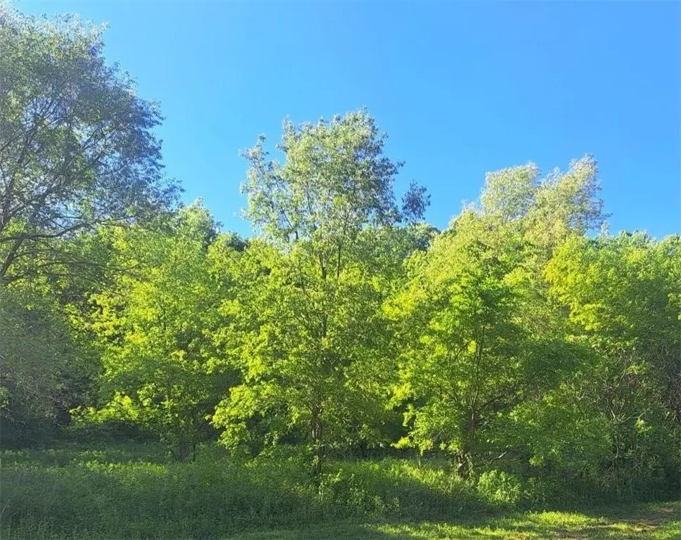 Picture 16