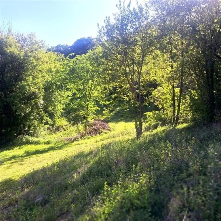 Picture 13