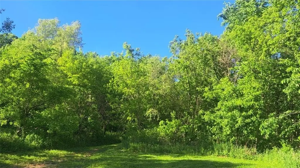 Picture 17