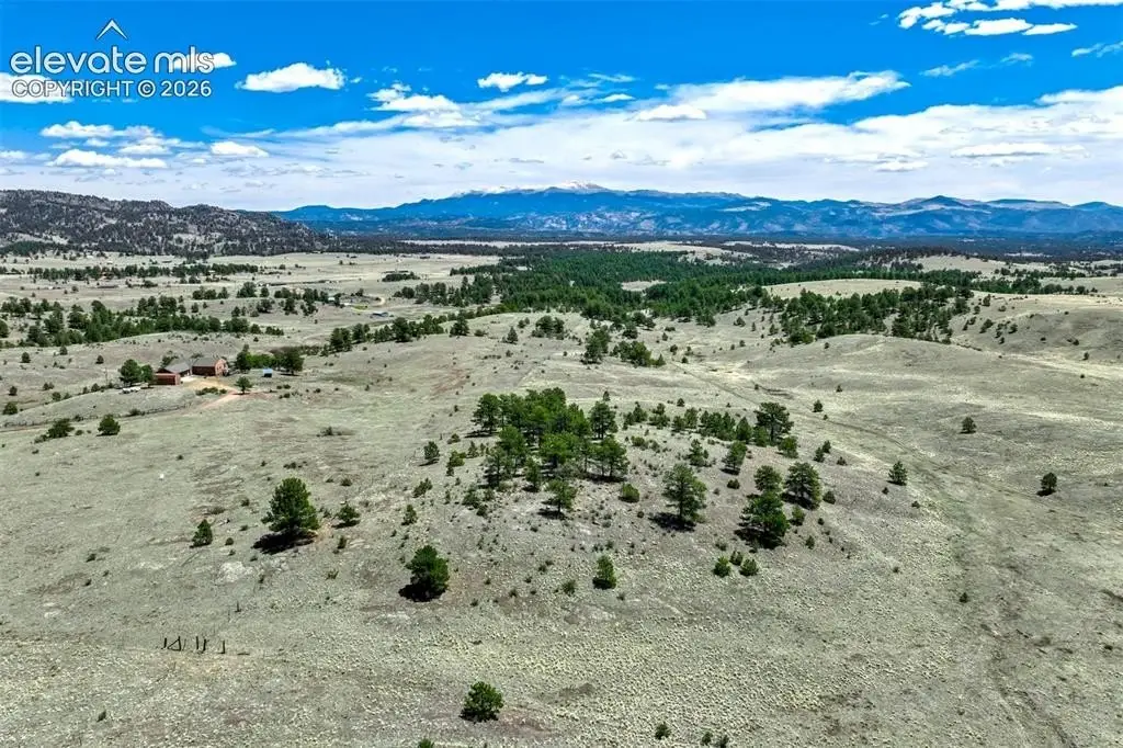 Picture 35
