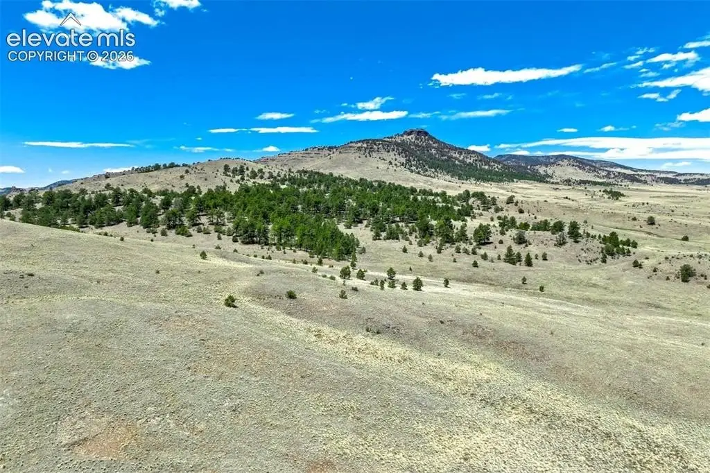 Picture 41