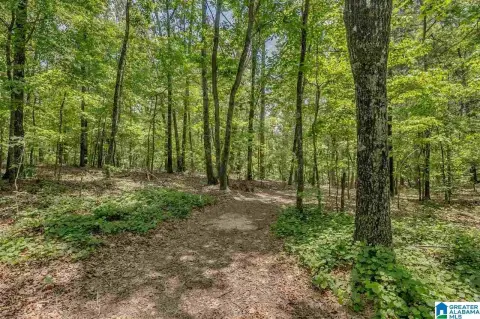 2.4 Acres in Shoal Creek