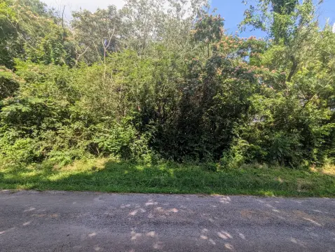 Unrestricted Lot in Etowah, TN