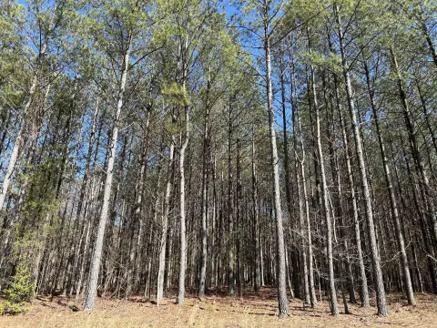 Residential Land in Gated Community