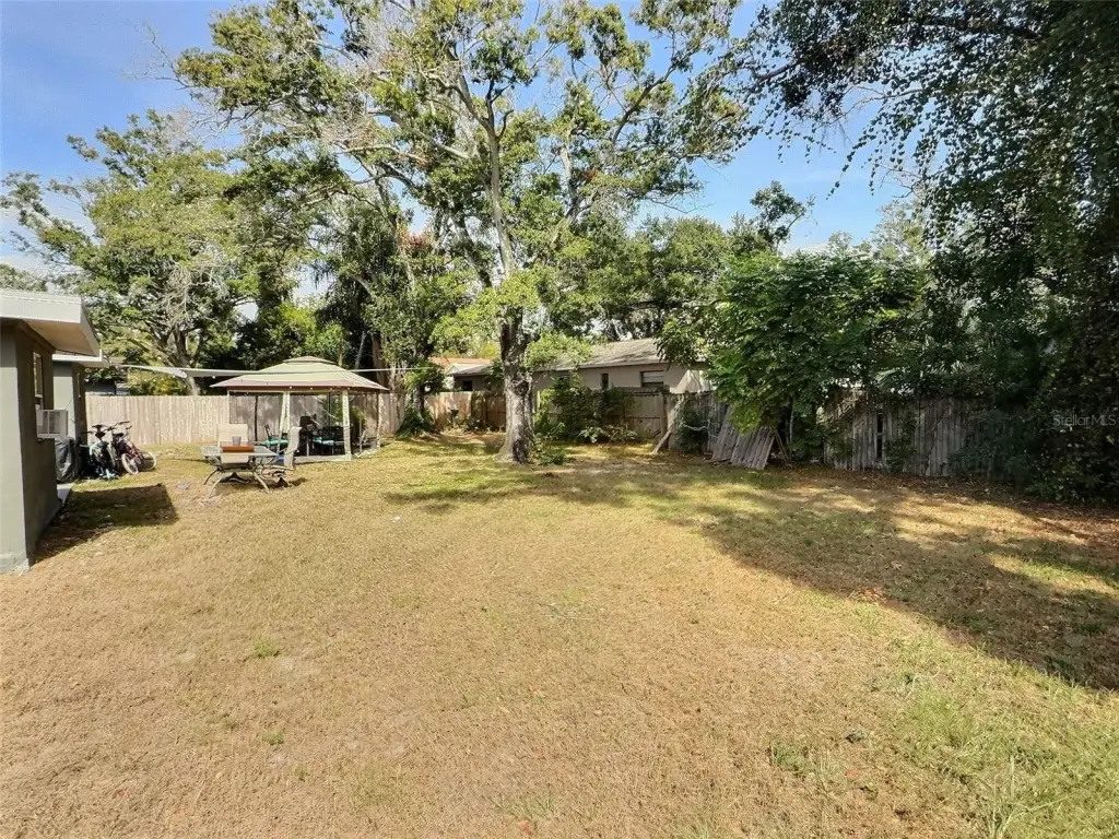 Picture 14