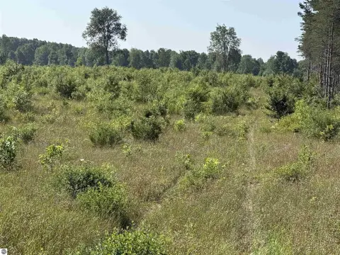Land Parcel in Brightland Woods