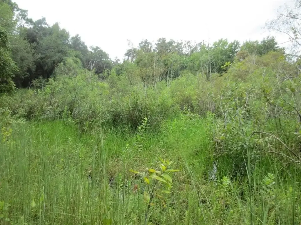Picture 23