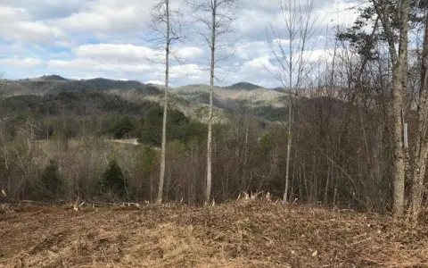 Hayesville Acreage with Mountain Views