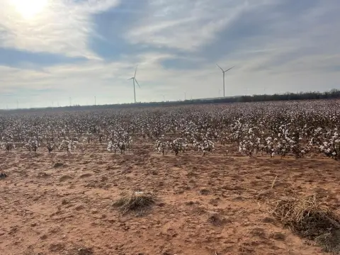 Snyder, TX Farm Land