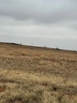 165.40 Acres in Scurry County