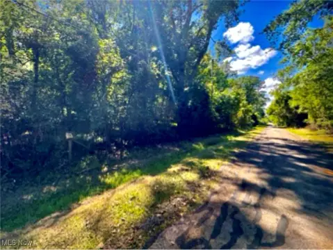 Residential Land in Brownhelm, Ohio