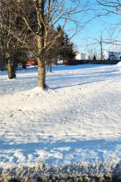 Residential Lot in Wintersville, OH