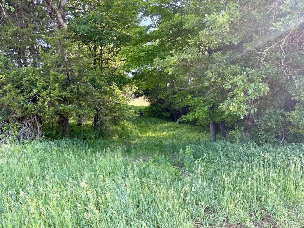 Picture 40
