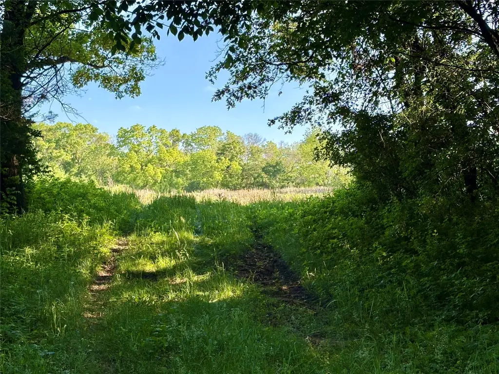 Picture 42