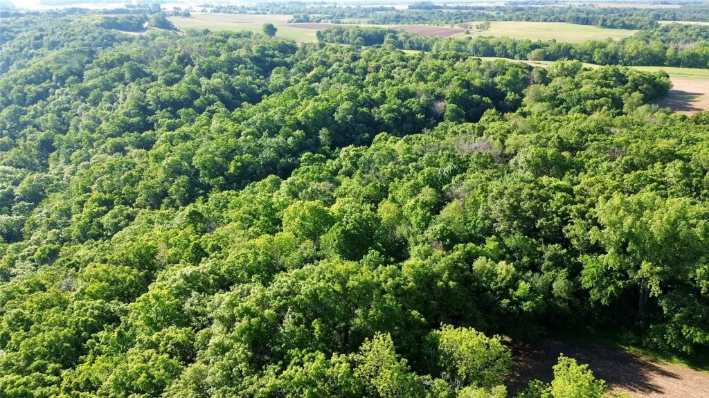 Picture 27