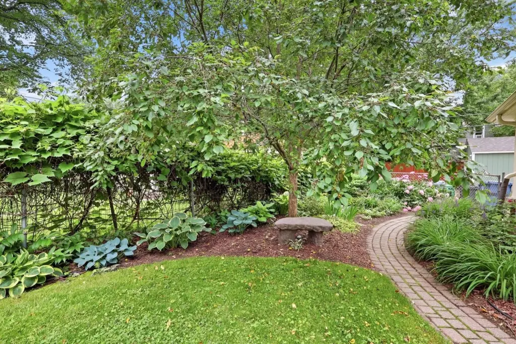 Picture 32