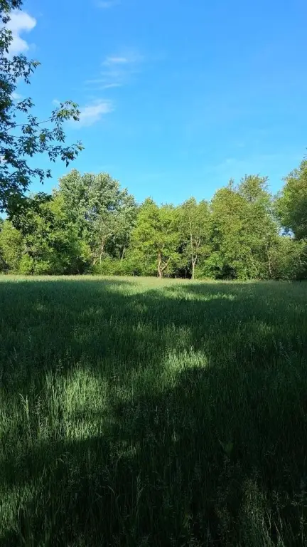 Picture 13