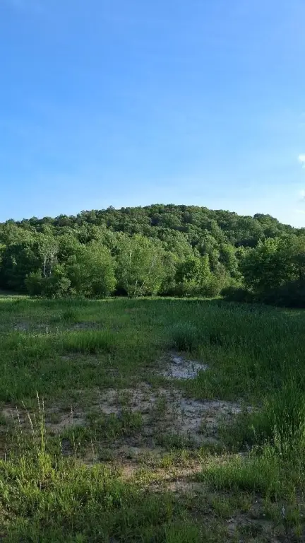 Picture 12