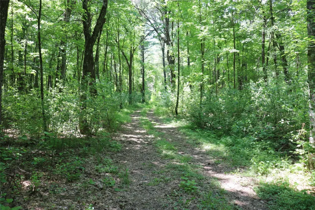 Picture 45
