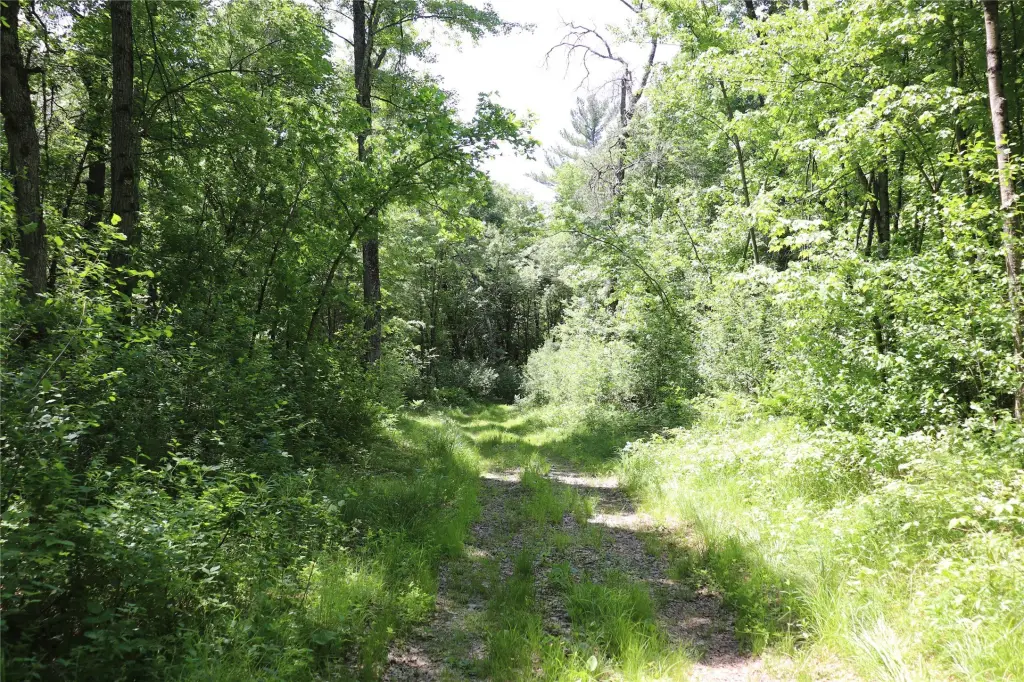 Picture 43