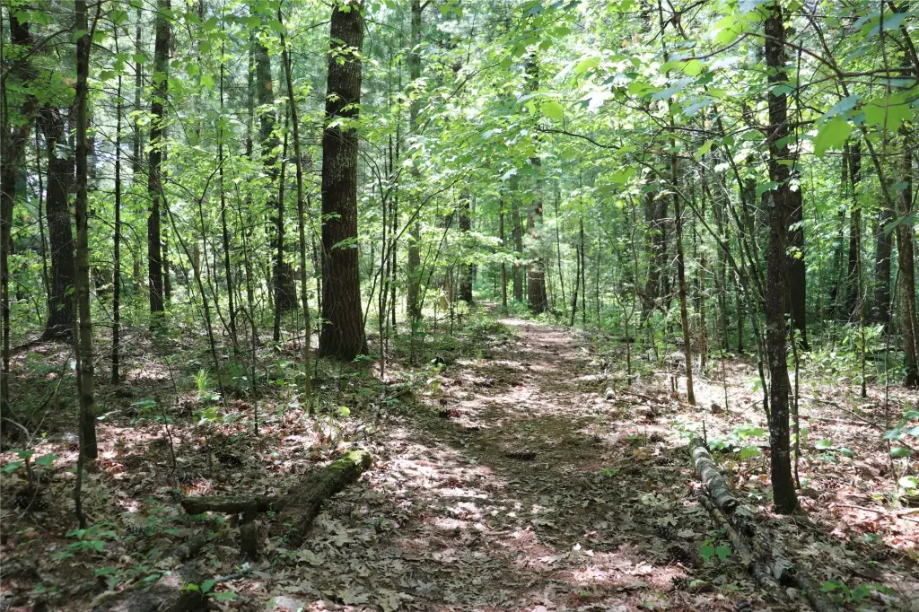 Picture 38