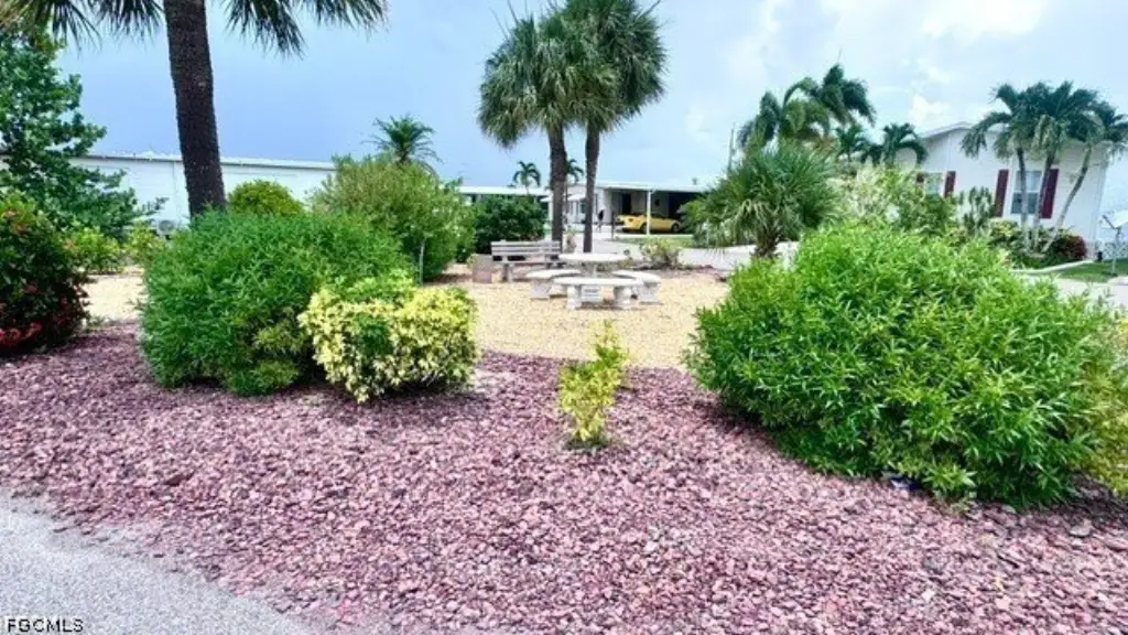 Picture 5