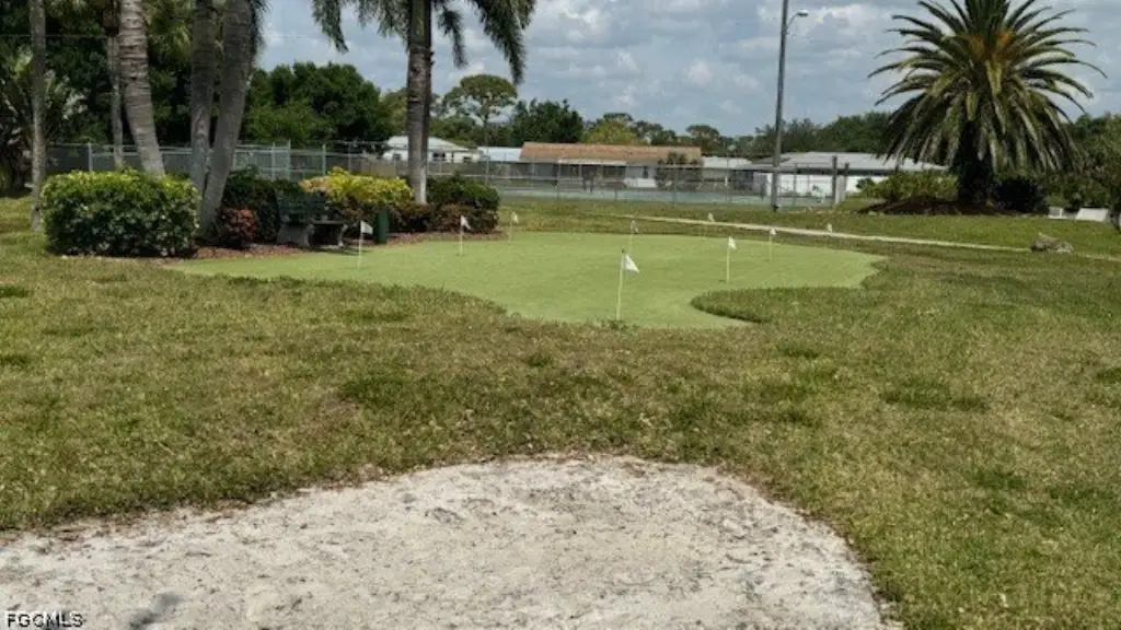 Picture 25