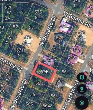 Citrus Springs Buildable Lot