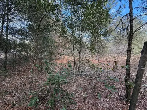 Citra, Florida Vacant Land