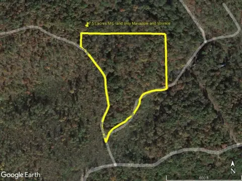 Harriet, AR Land for Sale